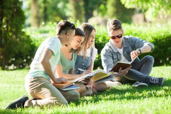 Group of students learning a lesson outdoors. Students reading text books or tutorial. Youth studying in the park.