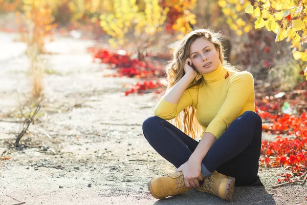 Joven Mujer Rubia Atractiva Aire Libre Fondo Otoño Retrato Otoño — Foto de Stock