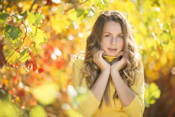 Sonbahar Arka Planda Genç Güzel Kadının Closeup Portre Sonbahar Zamanında — Stok fotoğraf