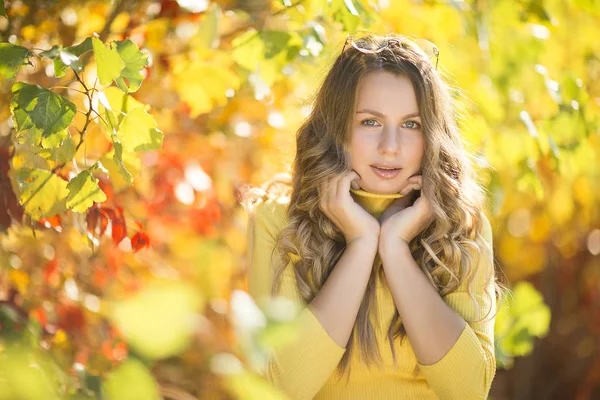 Primo Piano Ritratto Giovane Bella Donna Sfondo Autunnale Elegante Femmina — Foto Stock