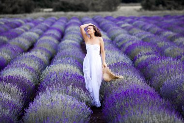 Lavanta tarlasında genç ve güzel bir kadın. Yaz arkaplanındaki kadın
