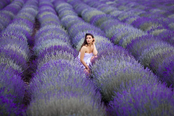 Junge Schöne Frau Lavendelfeld Dame Auf Sommerlichem Hintergrund — Stockfoto