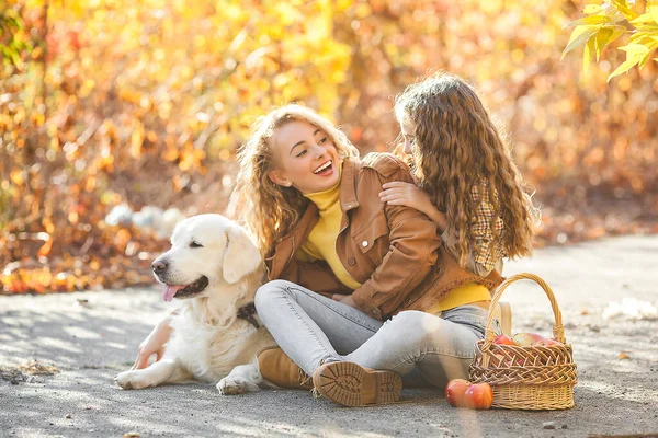 两个可爱的女孩和她们的宠物一起散步 秋天里的姐姐和狗 — 图库照片