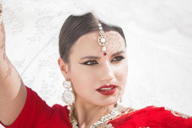 Tarafsız arka planda güzel bir Hintli kadın. Mehendi desenli sarili bayan.