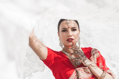 Tarafsız arka planda güzel bir Hintli kadın. Mehendi desenli sarili bayan.
