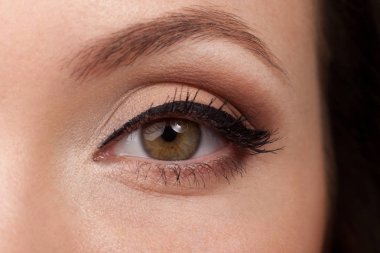close up of female eye with natural make up clipart