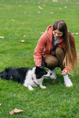 Dişi hayvan sahibi, yemyeşil çimenlerde siyah ve beyaz köpeğiyle etkileşime geçiyor, güneşli bir açık hava ortamının tadını çıkarıyor, aralarında paylaşılan bağ ve mutluluğu vurguluyor.