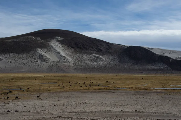 Bergen Svart Färg Bolivia Med Delar Som Omfattas Vit Sand — Stockfoto