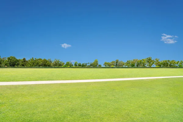 Зеленое Поле Дорожкой Голубым Небом — стоковое фото