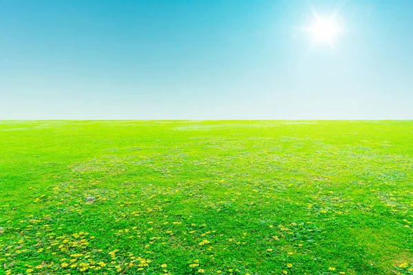 蓝天下的绿场与太阳耀斑 — 图库照片
