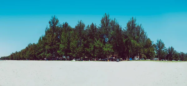 Піщані Дюни Деревами Пляжу Сепанг Малайзія — стокове фото