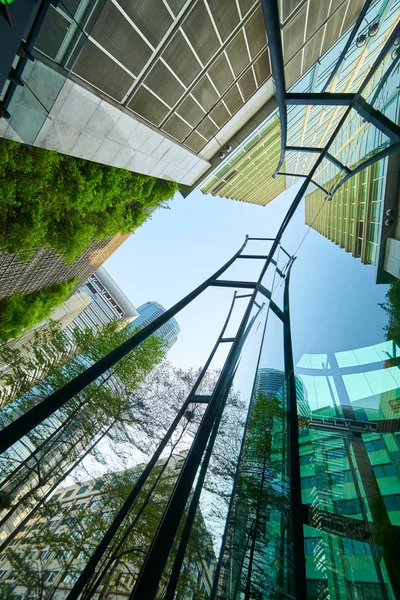 Low Winkelaufnahme Von Modernen Glasgebäuden Und Grün Mit Klarem Himmel — Stockfoto