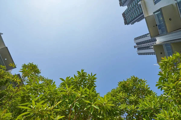 Nízký Úhel Záběru Moderních Budov Zelená Pozadí Jasné Oblohy — Stock fotografie