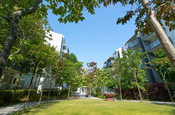 Jardim Edifícios Residenciais Modernos Fachada Novas Casas Baixa Energia — Fotografia de Stock