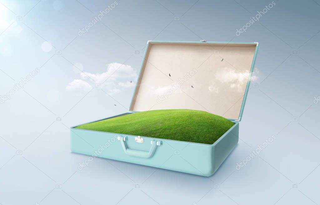 Green field in an open retro vintage suitcase isolated on light blue background .