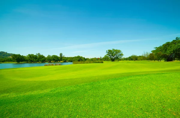 Green Grass Field Blue Sky — Stock Photo, Image