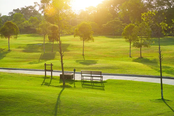 Morning Park Sunlight Wooden Bench — Stock Photo, Image