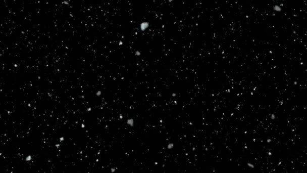Πλάνα Από Νιφάδες Χιονιού Πέφτουν Από Ουρανό — Αρχείο Βίντεο