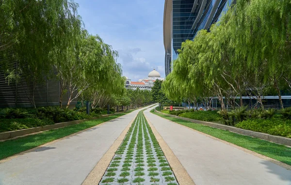 Stenen Promenadväg Vägen Parken Med Grönt Gräs Och Modern Byggnad — Stockfoto