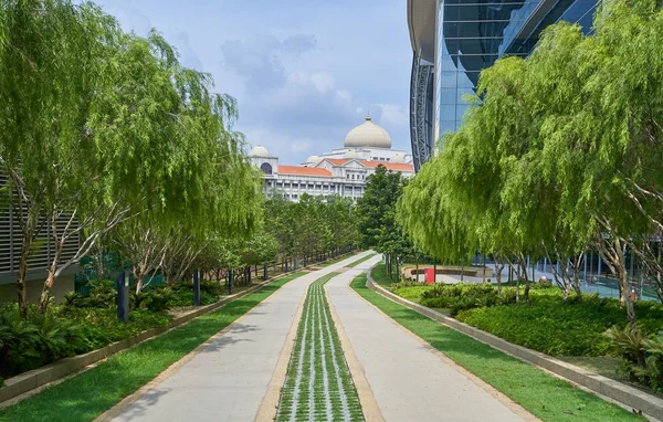 緑の草と近代的な建物の背景を持つ公園内の石の散歩道 — ストック写真