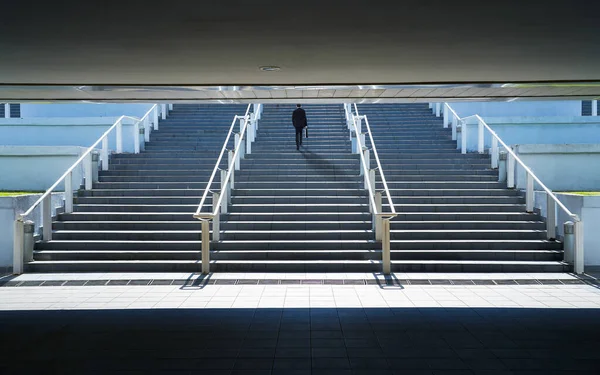 Empresario Subiendo Escaleras Concepto Ambiciones —  Fotos de Stock