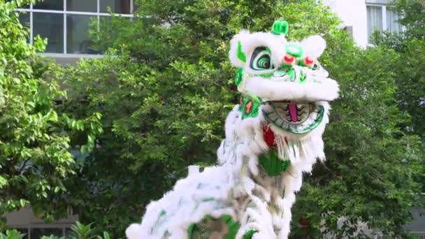 クアラルンプールでの中国の旧正月のお祝い中のライオンダンスパフォーマーショー — ストック動画