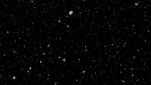 Copos Nieve Cayendo Sobre Fondo Negro Renderizado Animación Nieve Concepto — Vídeo de stock