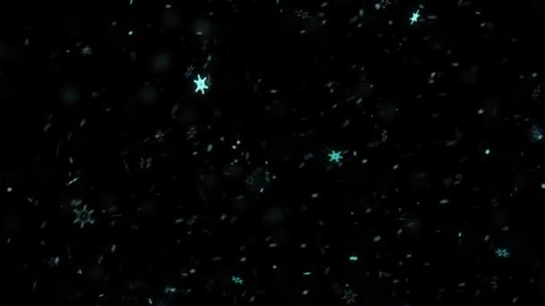 Chute Flocons Neige Sur Fond Noir Animation Rendue Neige Concept — Video