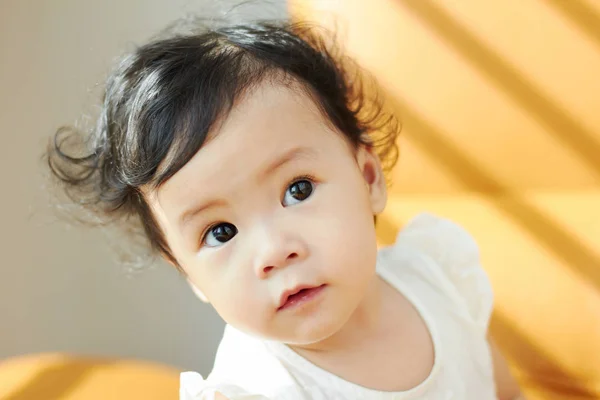 Portrait De Mignon Et Belle Boucle Cheveux Asiatique Chinois Bebe Fille Expression Curieux Stock Photo
