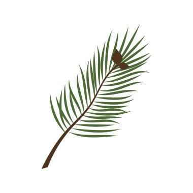 Yeşil iğne ve koni resimli çam ağacı dalları.