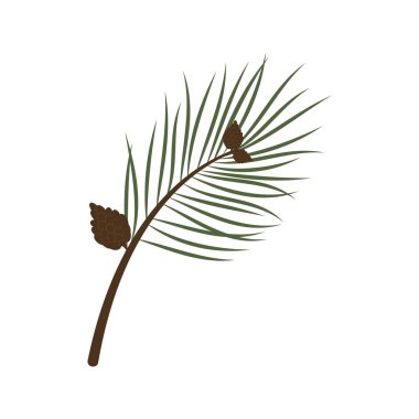 Yeşil iğne ve koni resimli çam ağacı dalları.