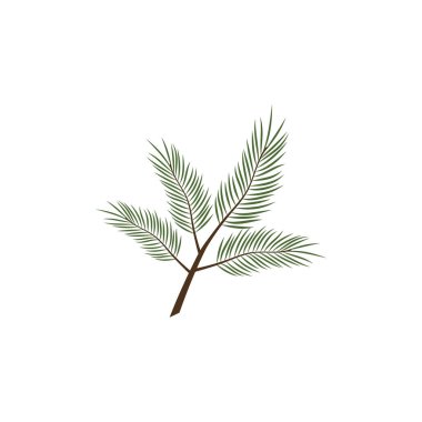 Yeşil iğne ve koni resimli çam ağacı dalları.