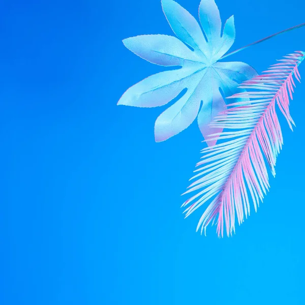 Minimal Surrealism Summer Background Tropical Palm Leaves Vibrant Bold Gradient — Stock Photo, Image