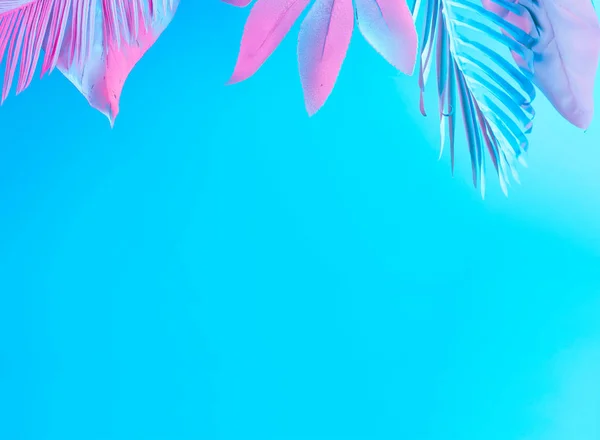 Minimal Surrealism Summer Background Tropical Palm Leaves Vibrant Bold Gradient — Stock Photo, Image