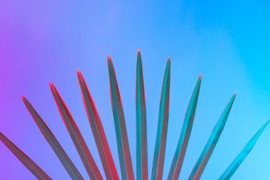 Tropikal yaprak canlı kalın degrade holografik neon renkler, sanat kavramına, Minimal Sürrealizm arka plan 