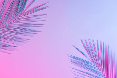 palmiye yaprakları canlı kalın degrade holografik neon renkler, konsept Sanat 