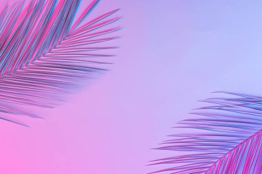 palmiye yaprakları canlı kalın degrade holografik neon renkler, konsept Sanat 