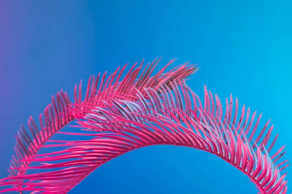 Tropiska Och Palm Blad Pulserande Djärva Gradient Holografisk Neonfärger Begreppet — Stockfoto