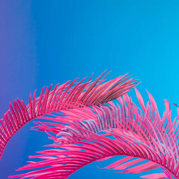 活気に満ちた大胆なグラデーション ホログラフィック ネオンの色 コンセプト アート 最小限のシュル レアリスムの背景に熱帯とヤシの葉 — ストック写真