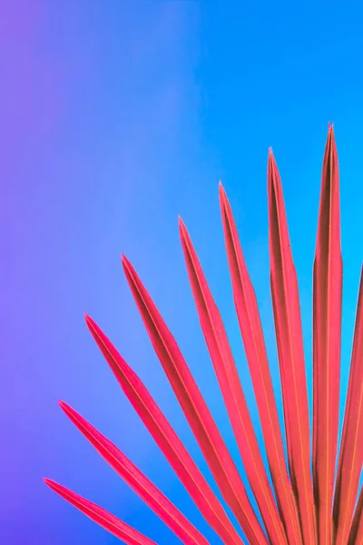 Тропічний Лист Яскравих Сміливих Голографічних Неонових Кольорах Концептуальне Мистецтво Мінімальний — стокове фото