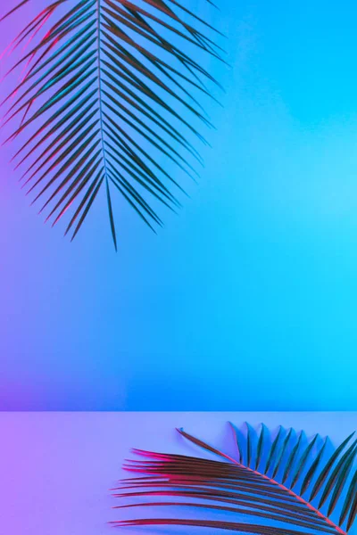 Folhas Tropicais Palma Vibrante Negrito Gradiente Holográfico Neon Cores Arte — Fotografia de Stock