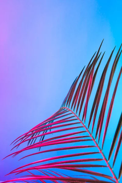 Tropical leaf in vibrant bold gradient holographic neon colors, Concept art, Minimal surrealism background