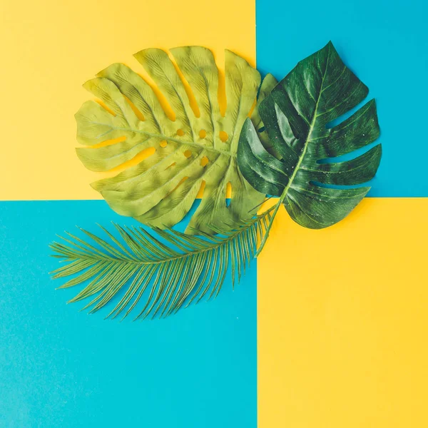 活気に満ちた大胆な鮮やかな色 コンセプト アートで熱帯とヤシの葉 — ストック写真