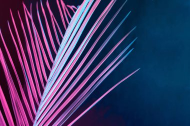 palm leaf in vibrant bold gradient holographic neon colors on blue background , Concept art  clipart