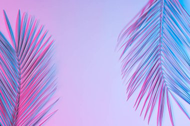 palmiye yaprakları canlı kalın degrade holografik neon renkler, konsept Sanat 
