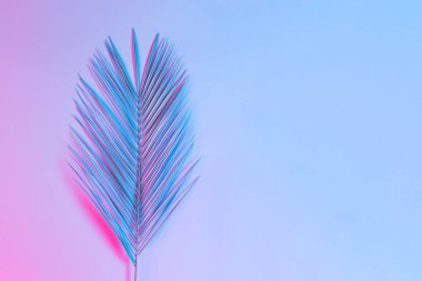 Palmiye yaprağı canlı kalın degrade holografik neon renkler, sanat kavramına en az Sürrealizm arka plan 