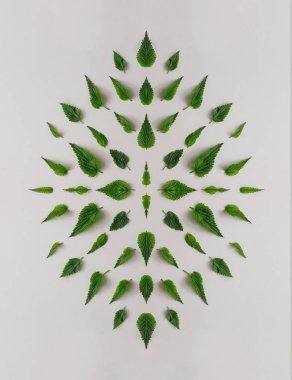 Yaratıcı ısırgan yaprakları geometrik desen, Minimal doğa kavramı 