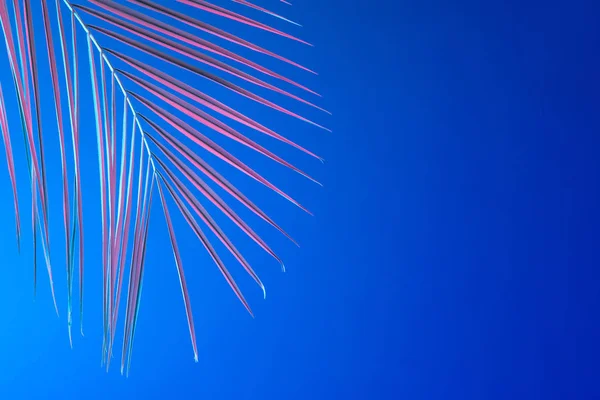 Palmblatt Lebendigen Fetten Farbverläufen Holographische Neon Farben Auf Blauem Hintergrund — Stockfoto