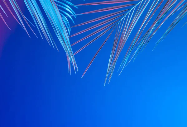Foglie Palma Vivace Gradiente Audace Colori Olografici Neon Sfondo Blu — Foto Stock