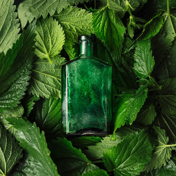 Creative Background Nettle Leaves Glass Bottle Minimal Nature Concept — Stock Photo, Image